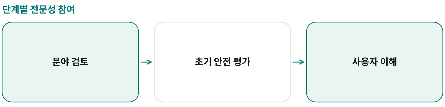 단계별 전문성 참여; 분야 검토: ; 초기 안전 평가: ; 사용자 이해: