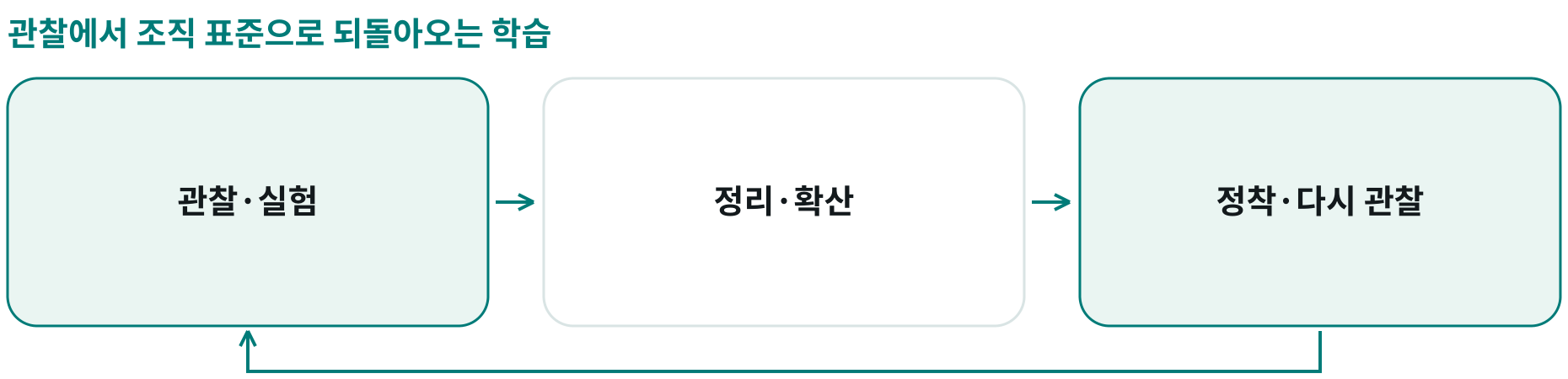 관찰에서 조직 표준으로 되돌아오는 학습; 관찰·실험: 이상 징후와 가능성을 시험; 정리·확산: 통찰을 정리하고 다른 상황에서 확인; 정착·다시 관찰: 조직에 반영한 뒤 새 반응에서 학습